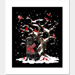 Black Pug Scarf Cardinal Snow Christmas Posters and Art